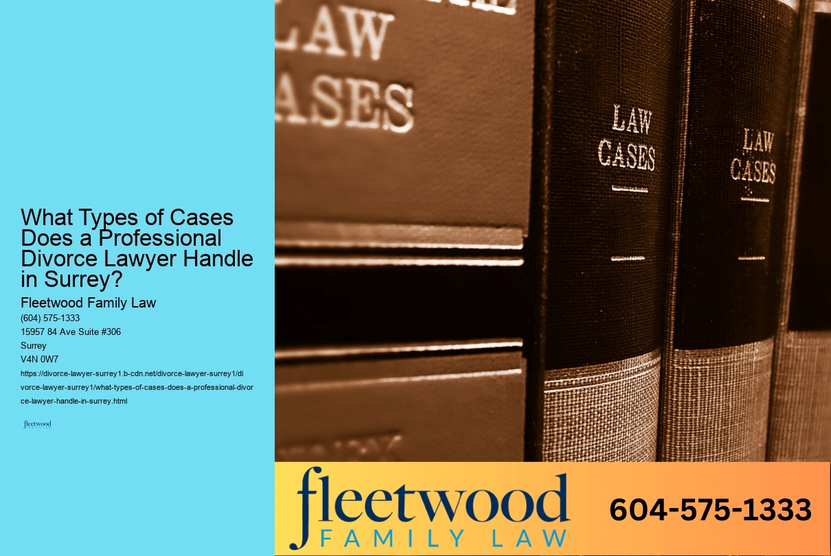 What Types of Cases Does a Professional Divorce Lawyer Handle in Surrey?